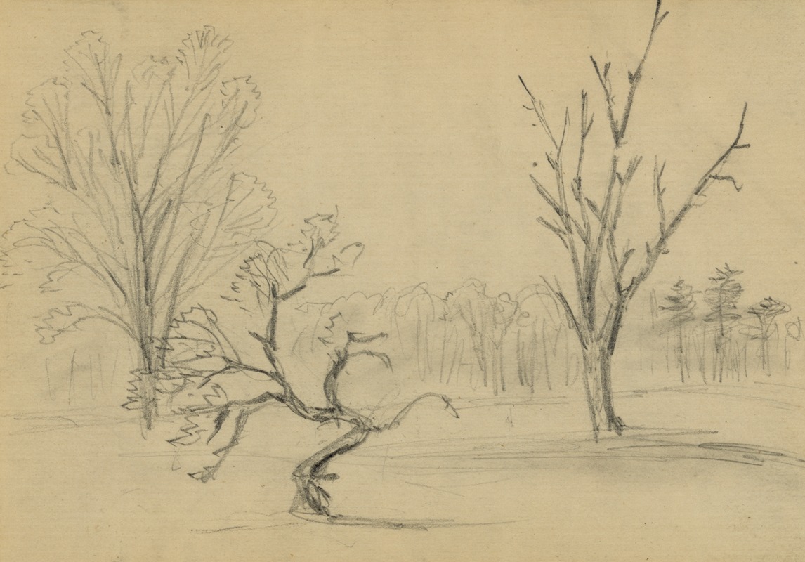 Trees by Альфред Рудольф Уод, 1860-1865 — digital art print download