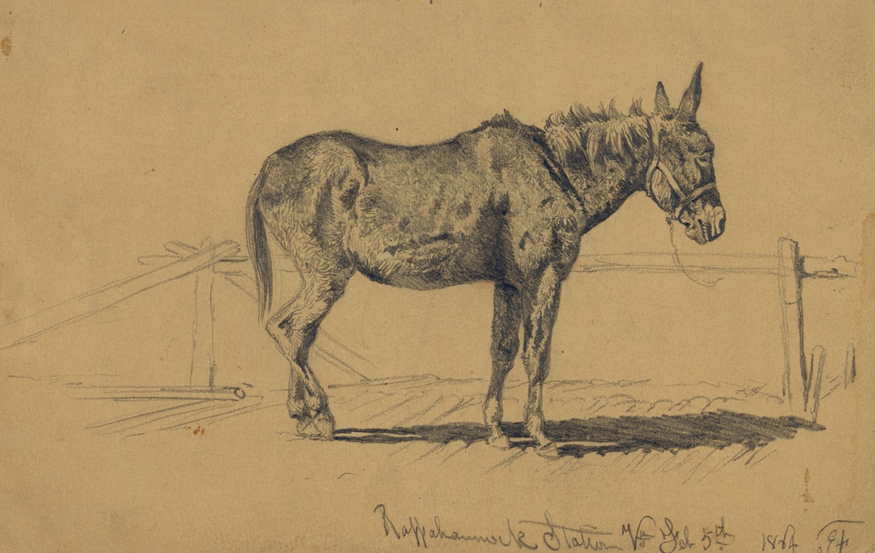 A played-out mule in hospital — Edwin Forbes