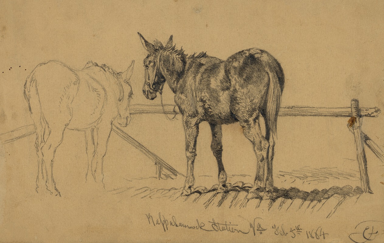 A tough customer. Army mule by Эдвин Форбс, 1864 — digital art print download