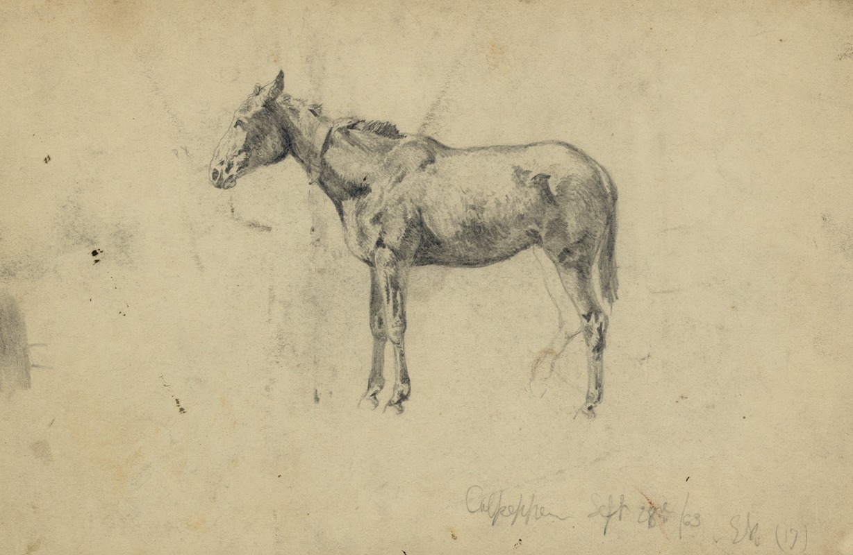 An army mule. September 28, 1863 by Эдвин Форбс, 1863 — digital art print download