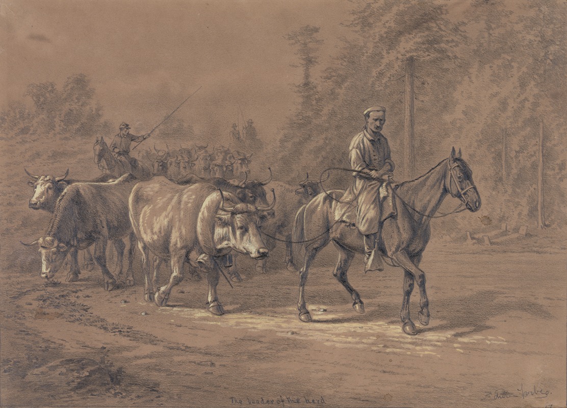 The leader of the herd — Edwin Forbes