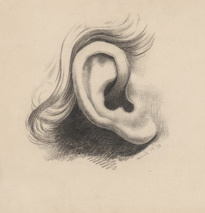 Ear study, no. 1 by Richard Sanger Smith, 1840 — digital art print download