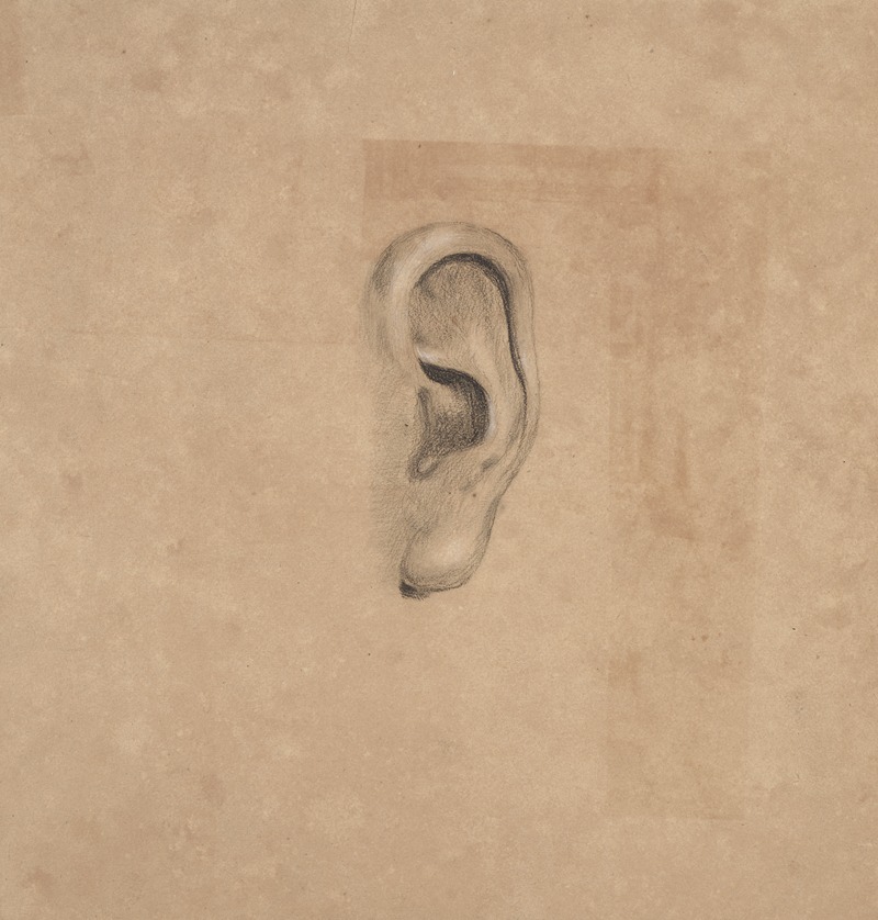 Ear study, no. 2 by Richard Sanger Smith, 1840 — digital art print download