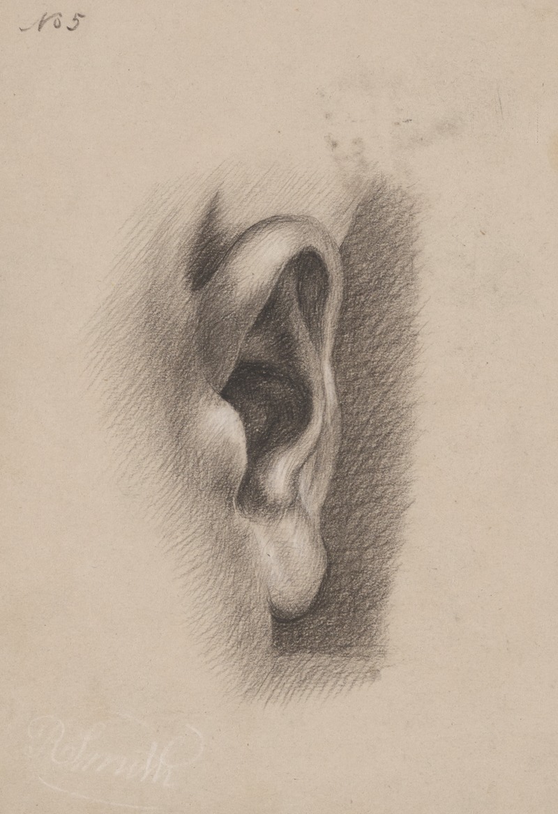 Ear study, no. 5 by Richard Sanger Smith, 1840 — digital art print download
