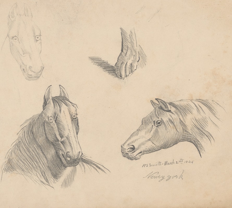Pencil exercise, no. 1 – horse heads — Richard Sanger Smith