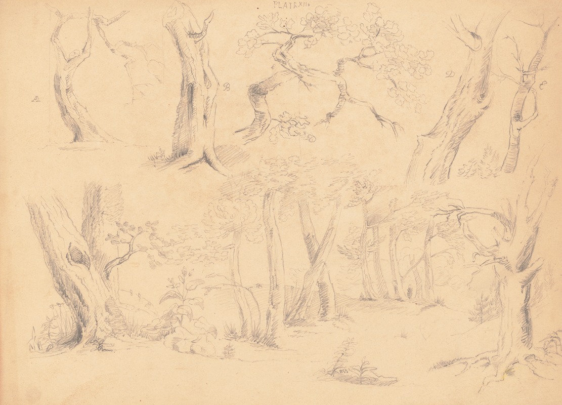 Plate XII by Richard Sanger Smith, 1815-1844 — digital art print download