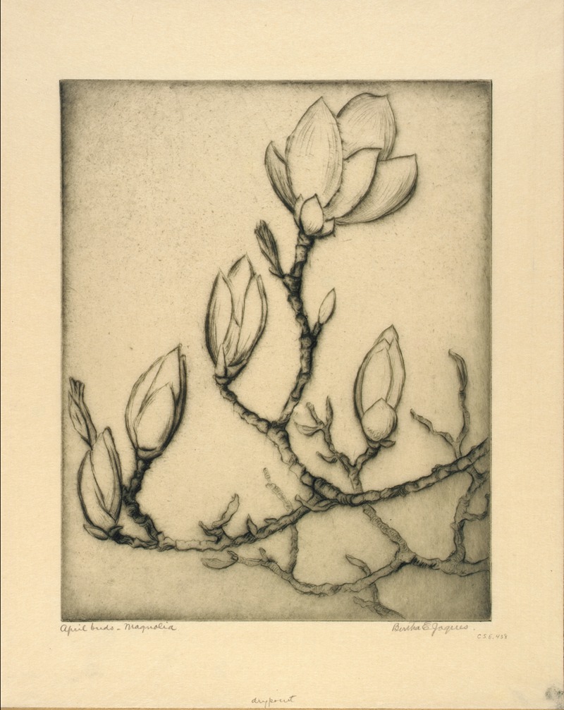 April Buds–Magnolia by Берта Жак — digital art print download
