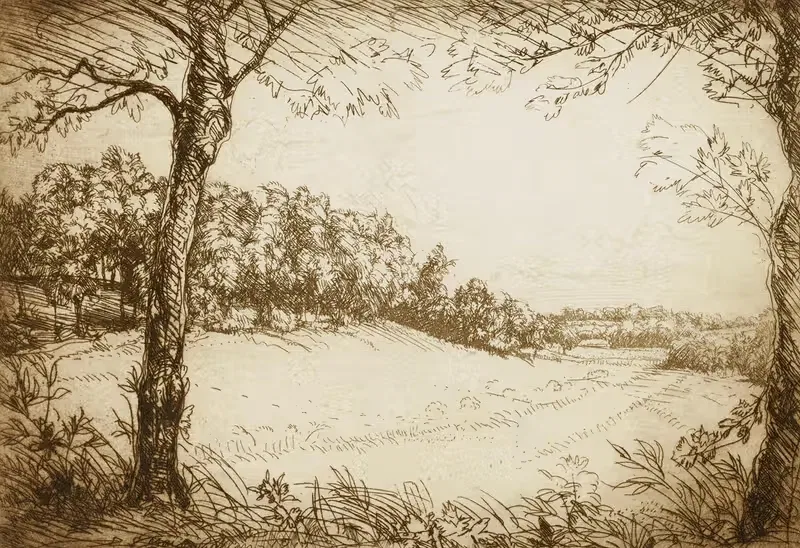 Summer Morning in Tennessee — Donald Shaw MacLaughlan