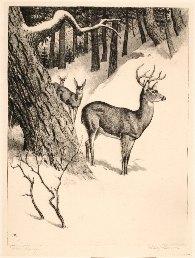 Deer Family by Rodney Thomson — digital art print download