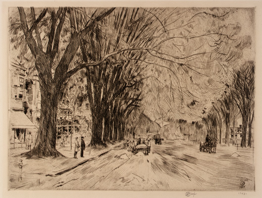 Easthampton Elms in May by Childe Hassam, 1925 — digital art print download