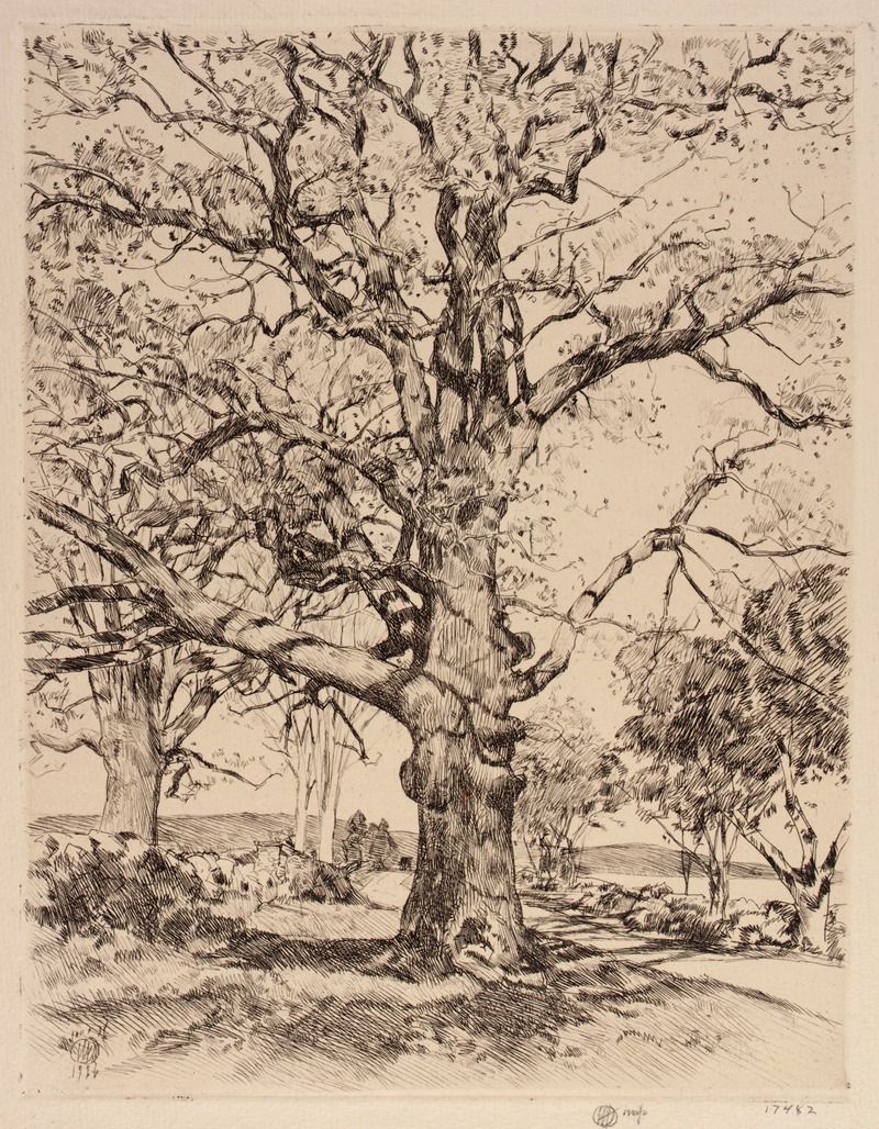 Wayside Inn Oaks in Spring by Чайлд Хассам, 1926 — digital art print download