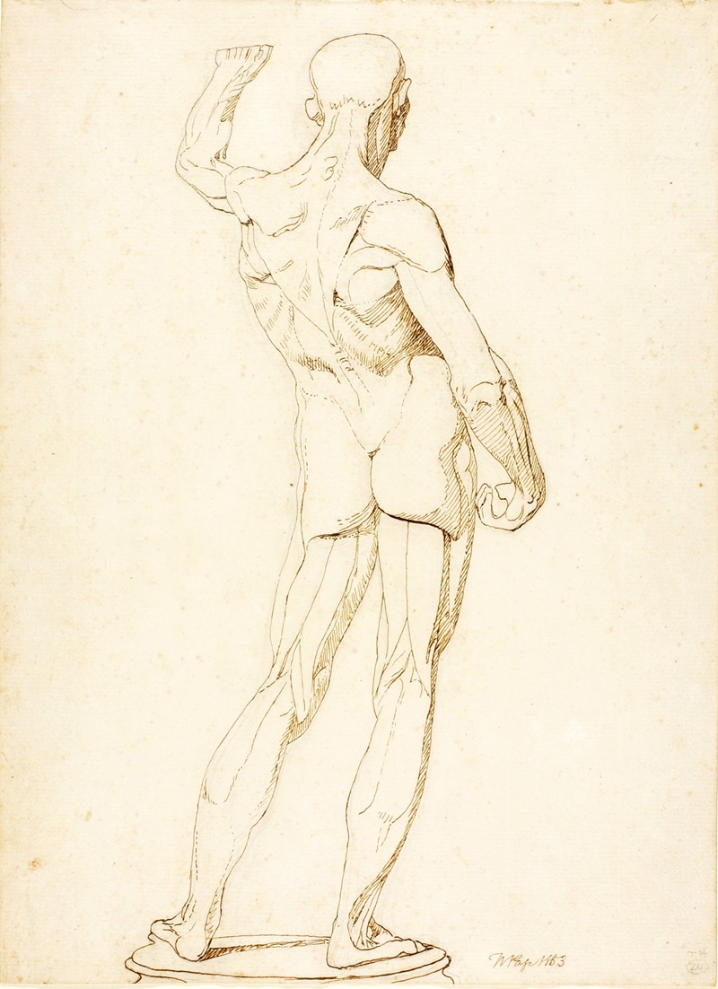An Ecorche, Rear View by Уильям Пейдж, 1853 — digital art print download