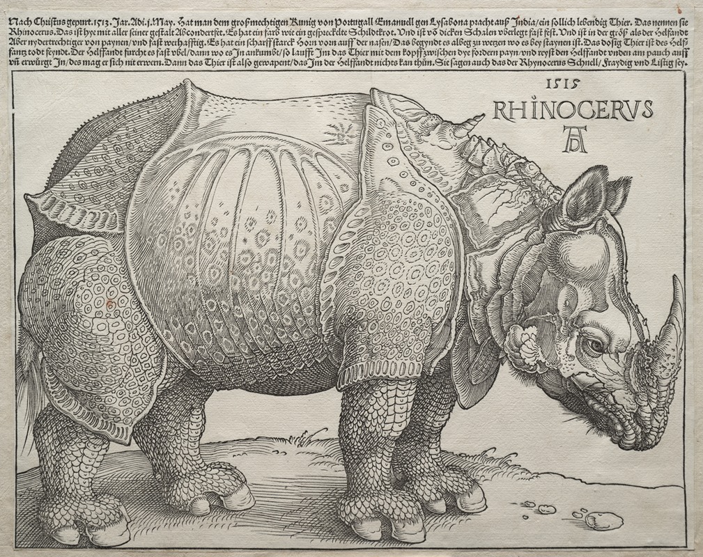 The Rhinoceros by Альбрехт Дюрер, 1515 — digital art print download