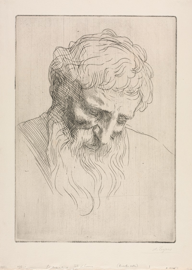 Head of a Man 3 by Альфонс Легро — digital art print download