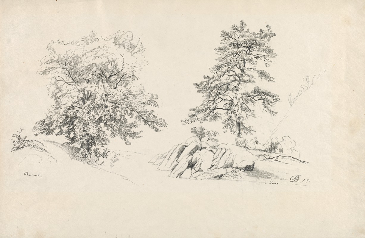 Chestnut and Pine by Дэвид Джонсон, 1869 — digital art print download