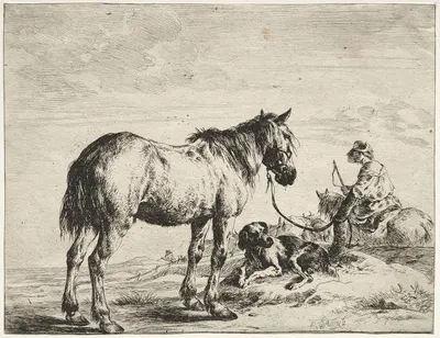 Horse bound to a post by Dirck Stoop — digital art print download