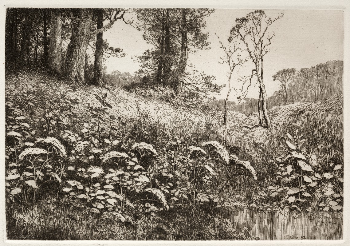 A Summer Afternoon by Elis F. Miller, 1882 — digital art print download