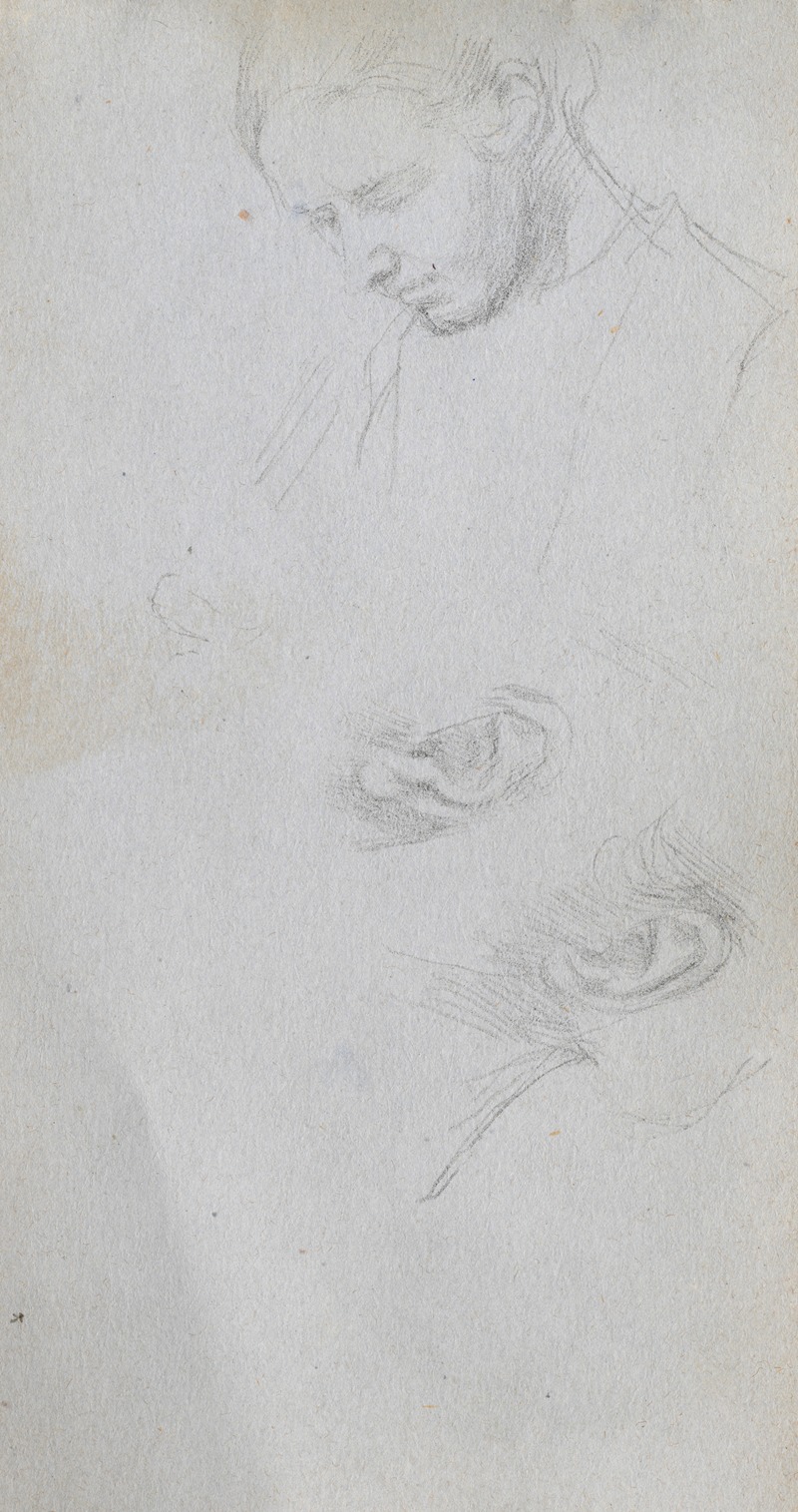 Study of a Face, ears by Эрнест Мейссонье — digital art print download