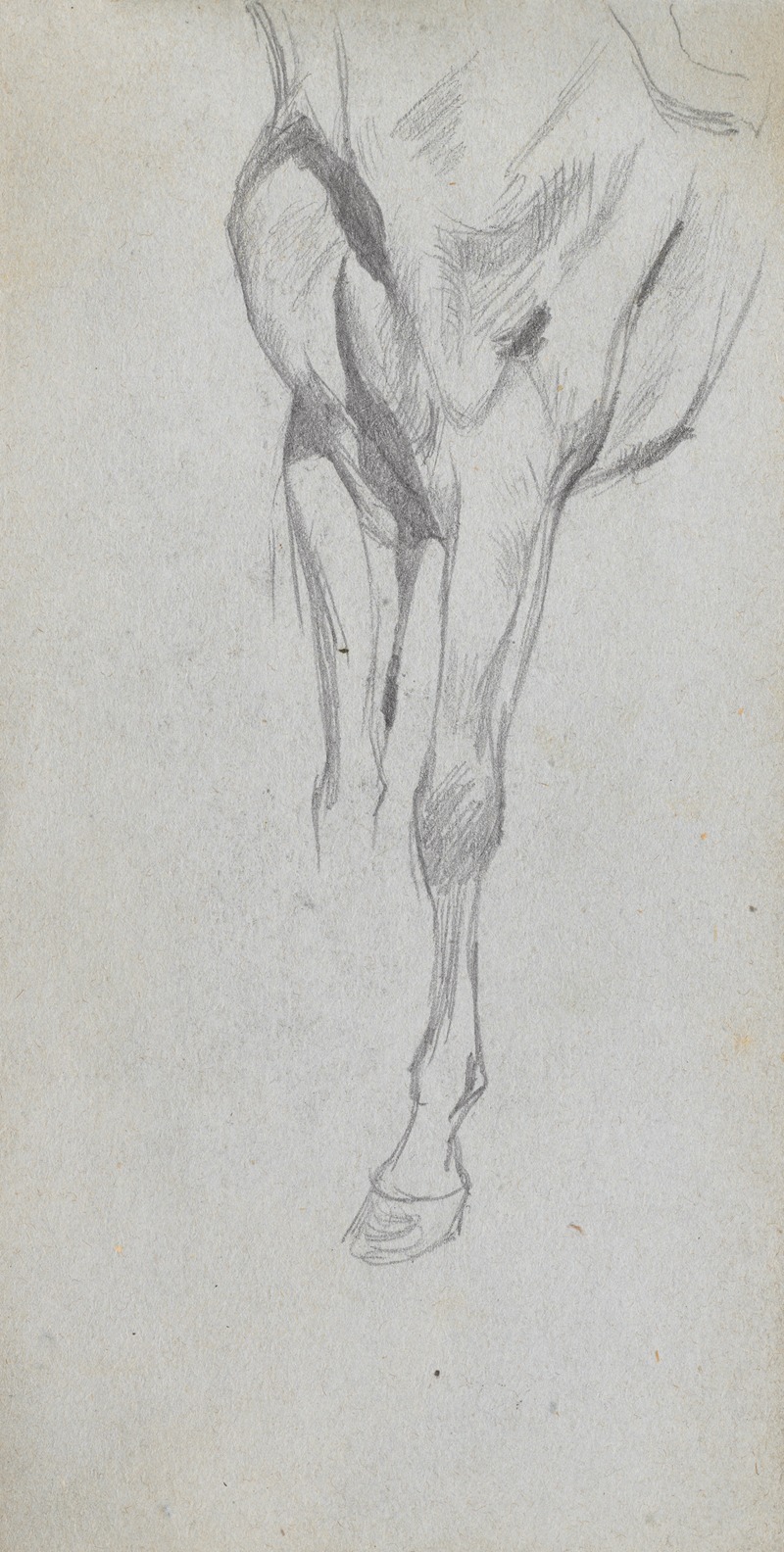 Study of A Horse 4 by Эрнест Мейссонье — digital art print download