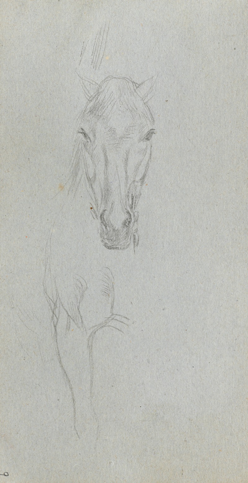 Study of a Horse 5 by Эрнест Мейссонье — digital art print download