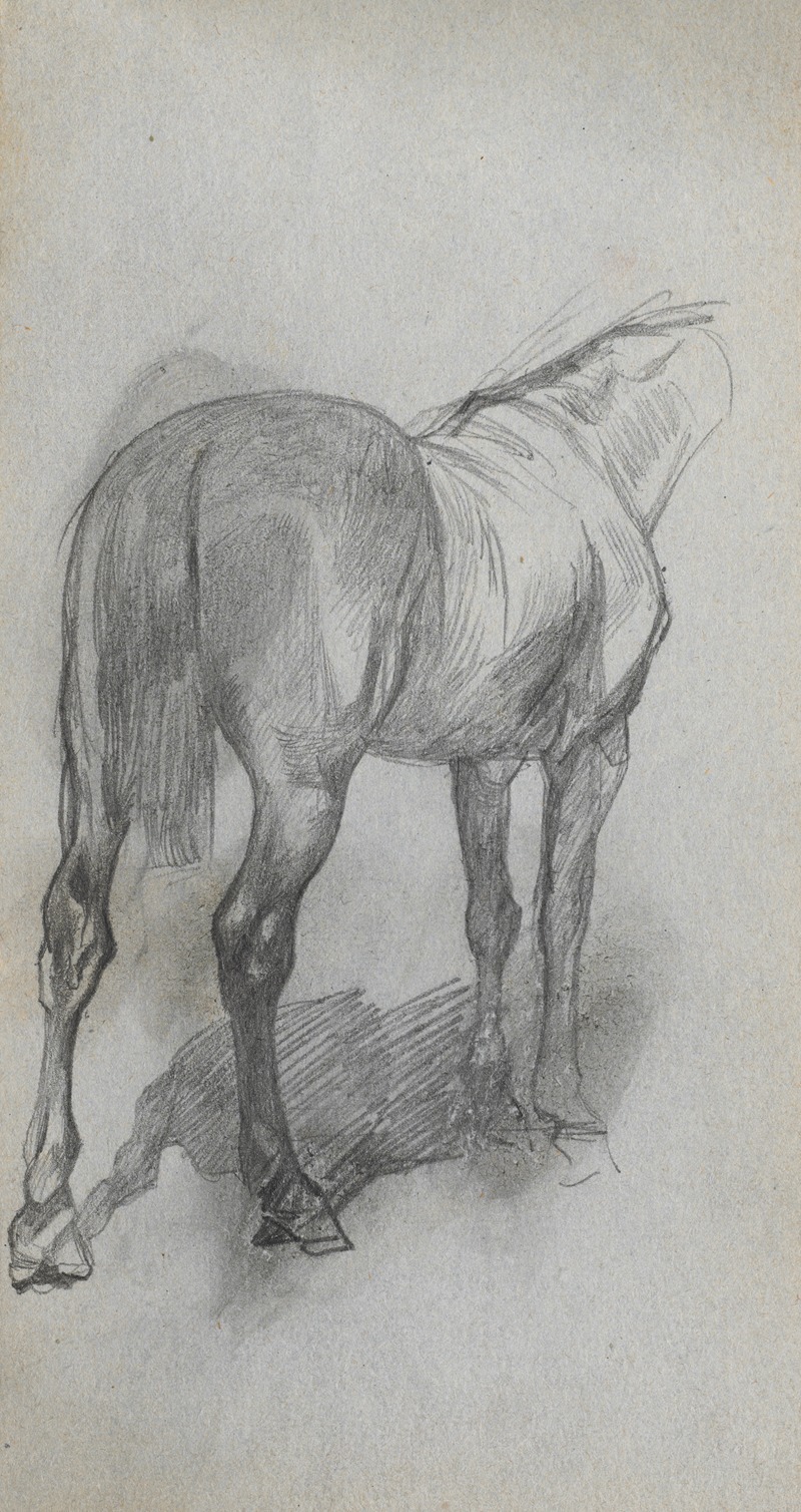Study of a Horse 6 by Эрнест Мейссонье — digital art print download
