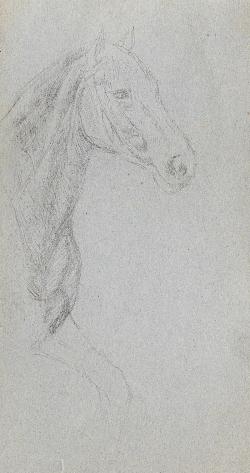 Study of a Horse by Эрнест Мейссонье — digital art print download