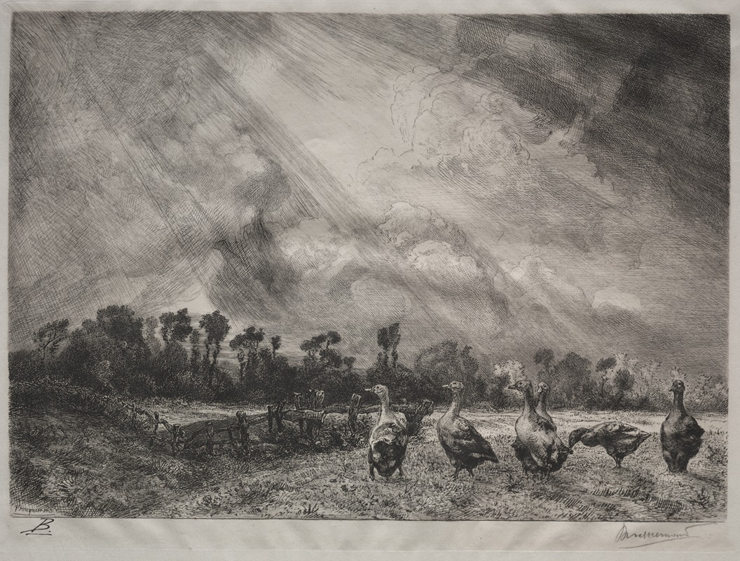 The Storm Cloud by Félix Bracquemond, 1878–1887 — digital art print download