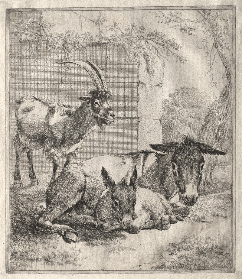 Goat and Donkeys by Johann Heinrich Roos — digital art print download