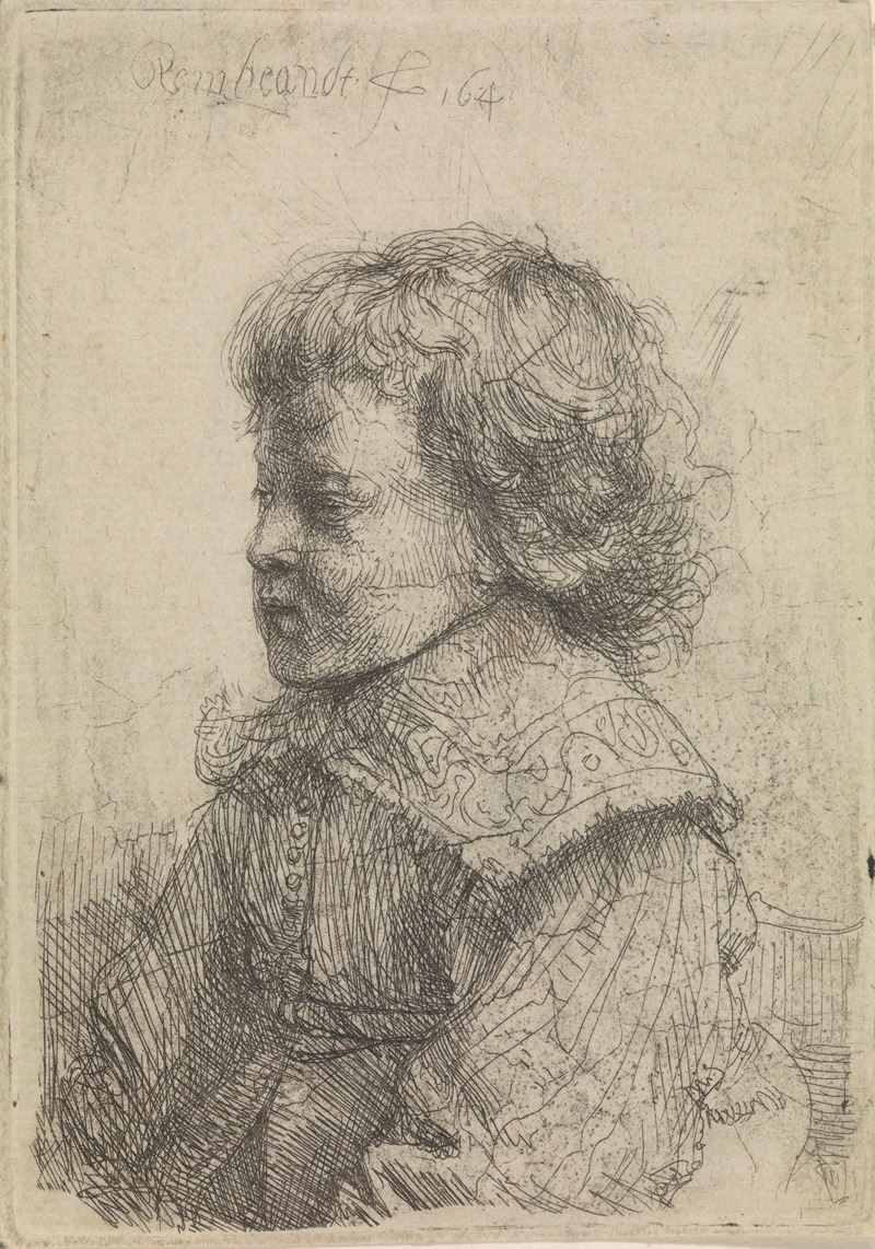 Portrait of a boy in profile — Rembrandt van Rijn