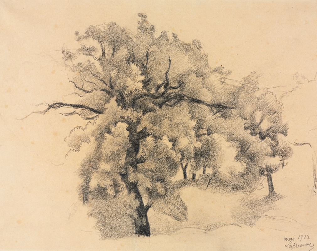 Study of Trees by Рожер де Ла Фреснай, 1922 — digital art print download