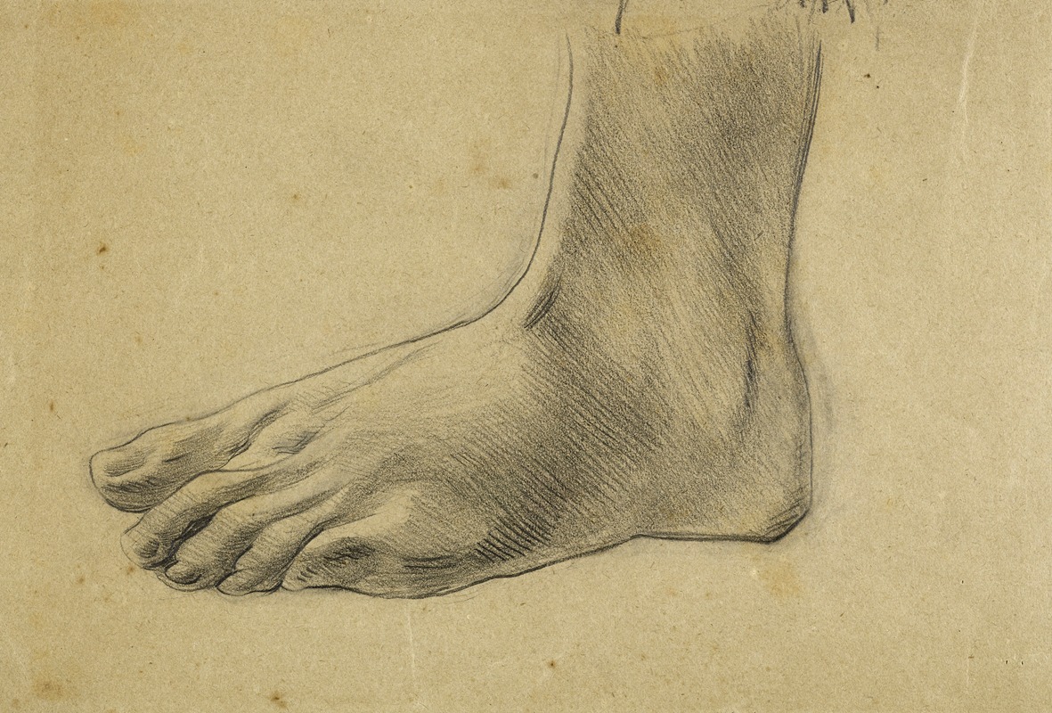Etude anatomique. Pied gauche, à plat — Arthur-Joseph Gueniot