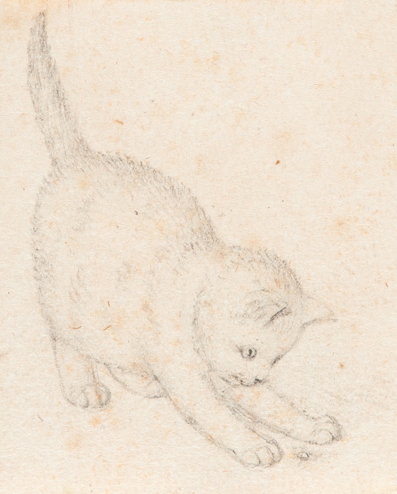 Junge Katze by Gottfried Mind — digital art print download