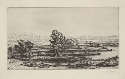 Peat-bogs by Alphonse Legros — digital art print download