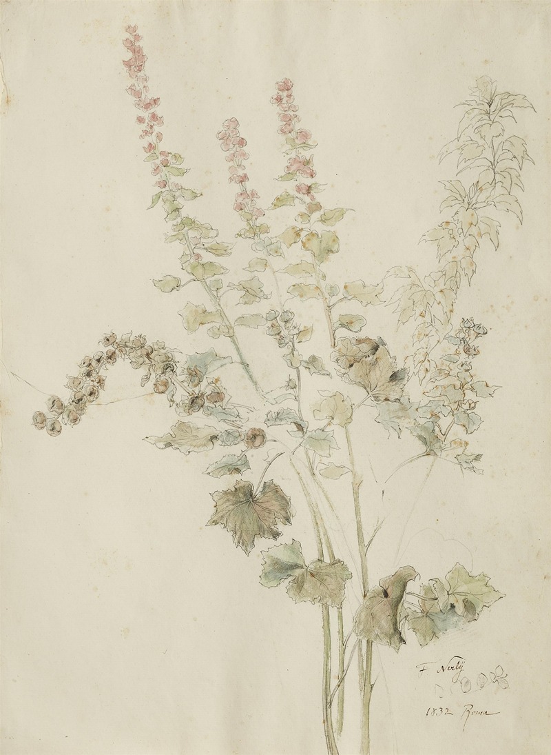 Herbstliche Malvenblüten by Фридрих Нерли, 1832 — digital art print download