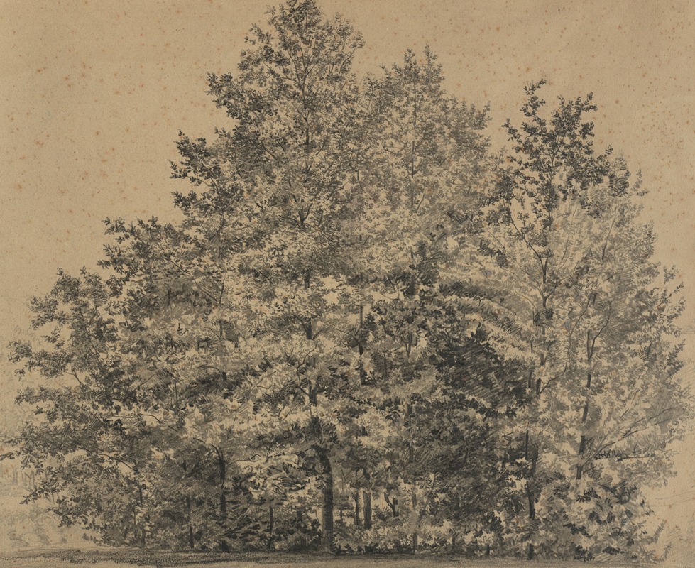 Große Baumstudie by Тина Блау, 1880 — digital art print download