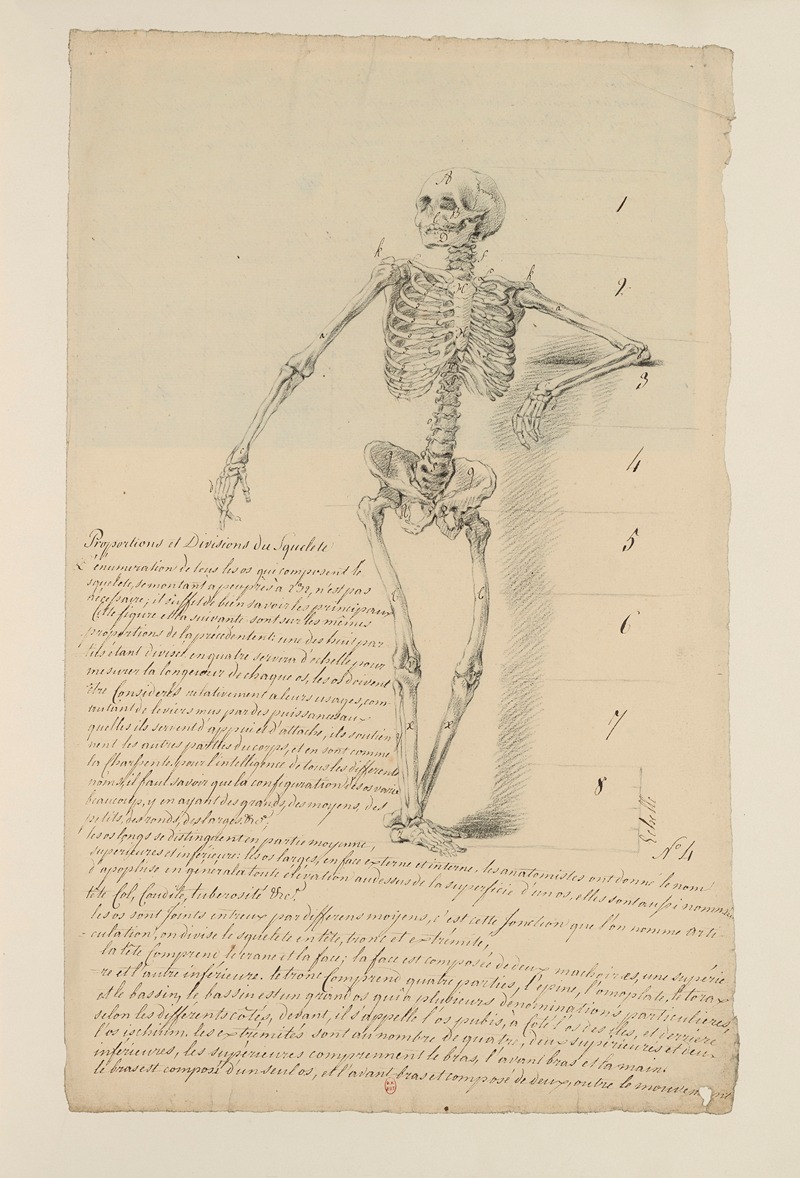 Cahiers d'Anatomie Pl.03 by Charles Monnet — digital art print download