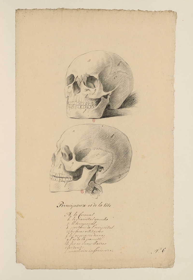 Cahiers d'Anatomie Pl.05 by Charles Monnet — digital art print download