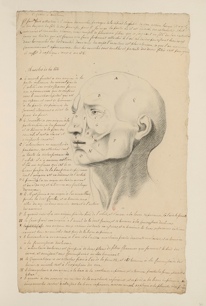 Cahiers d'Anatomie Pl.06 by Charles Monnet — digital art print download