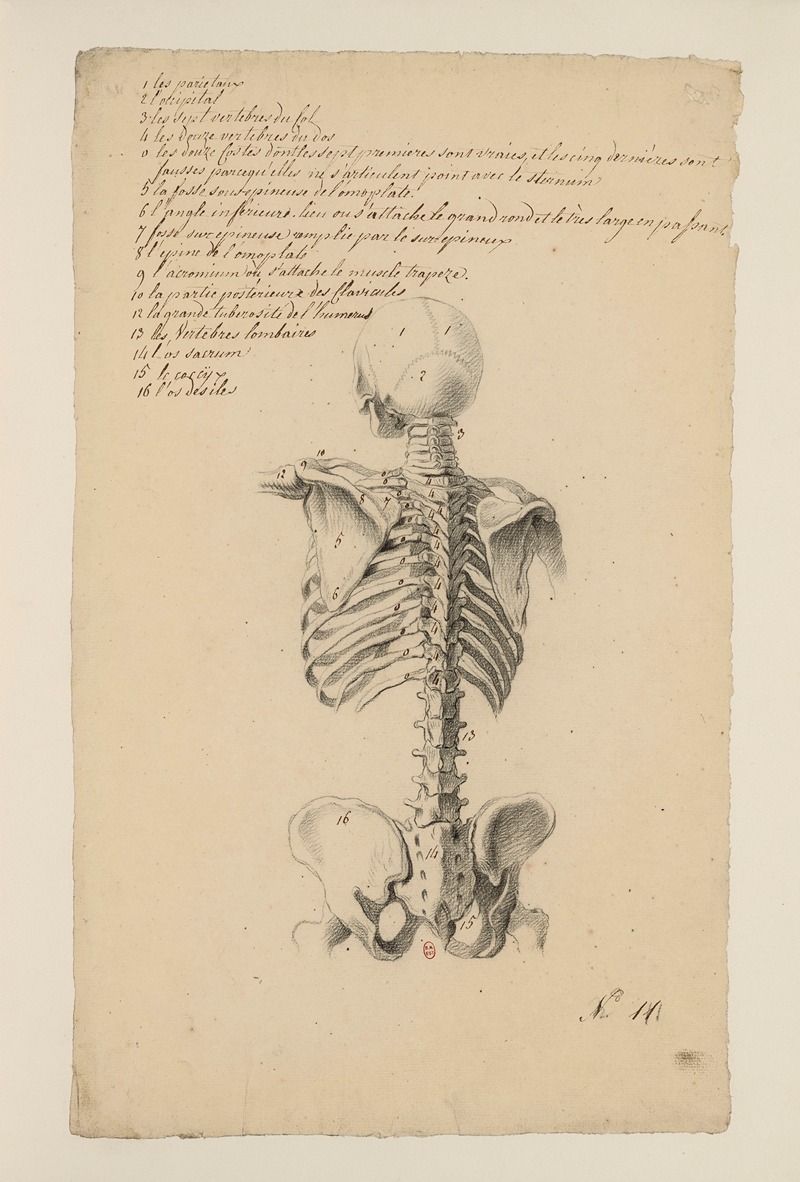 Cahiers d'Anatomie Pl.10 by Charles Monnet — digital art print download
