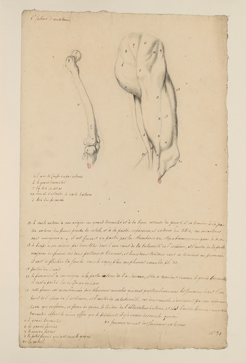 Cahiers d'Anatomie Pl.33 by Charles Monnet — digital art print download