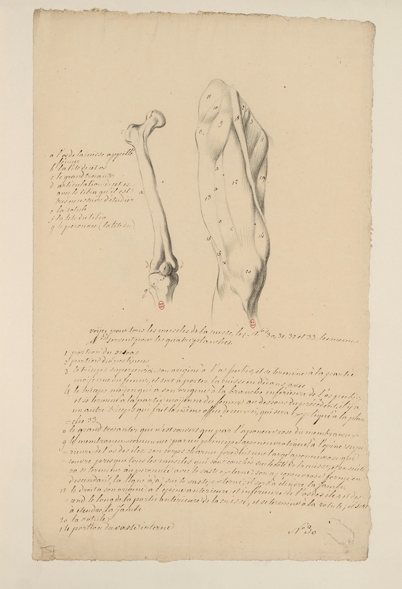 Cahiers d'Anatomie Pl.34 by Charles Monnet — digital art print download