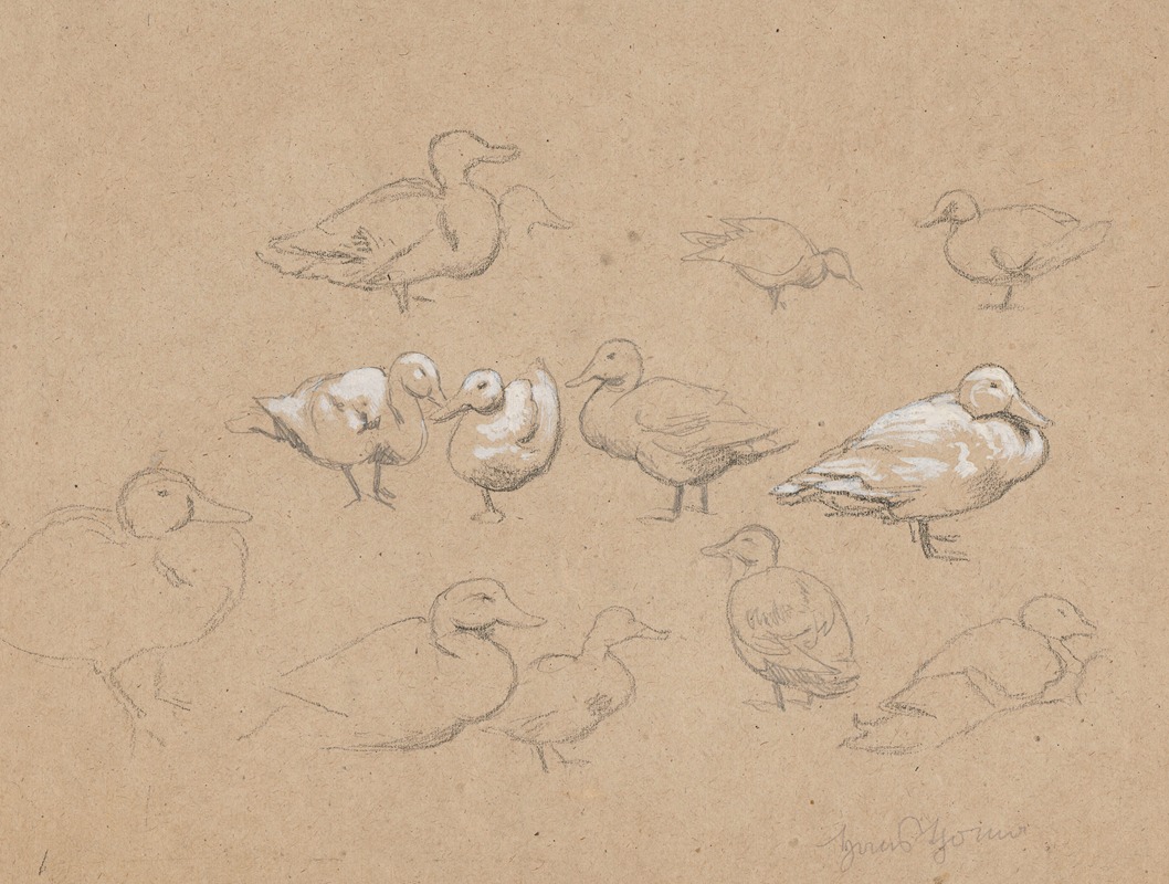 Ducks by Ханс Тома, 1880 - 1900 — digital art print download