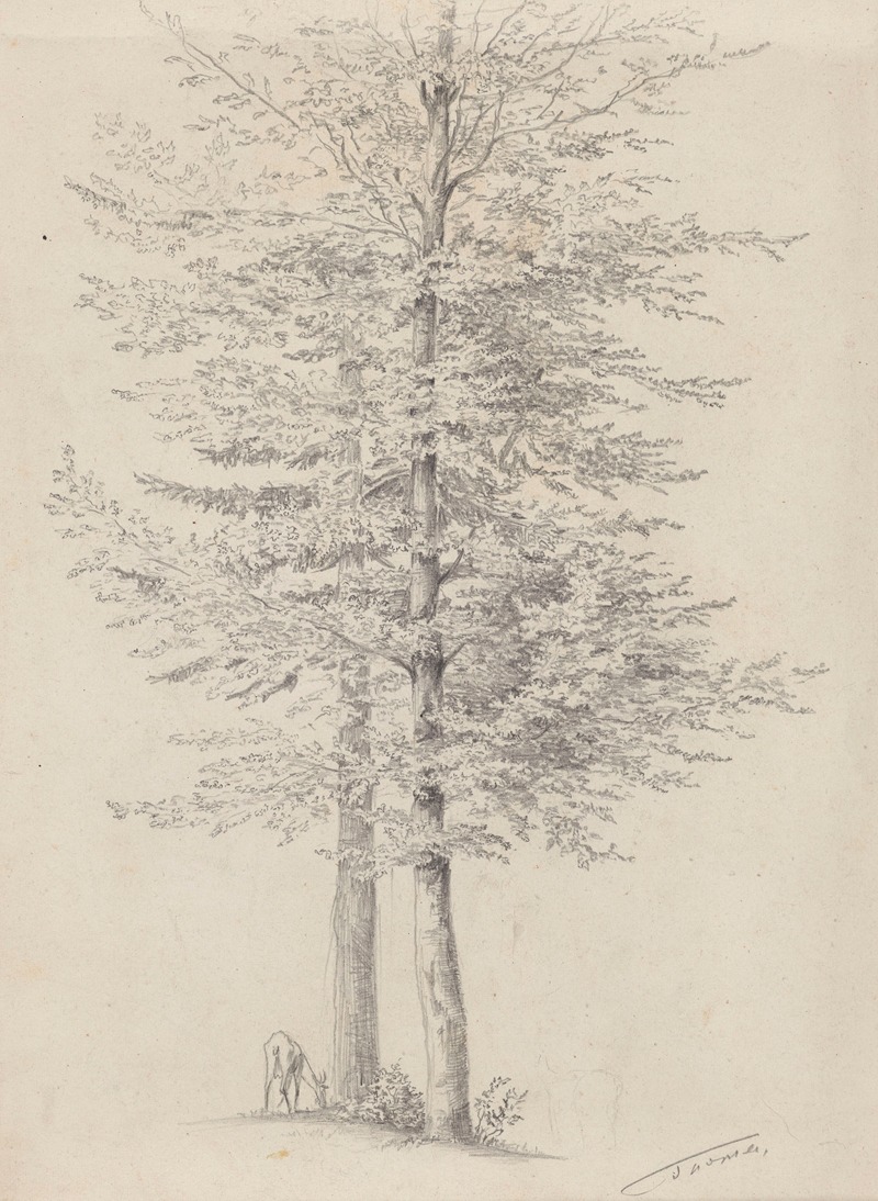 Goat Grazing near Two Trees by Ханс Тома, 1858 — digital art print download