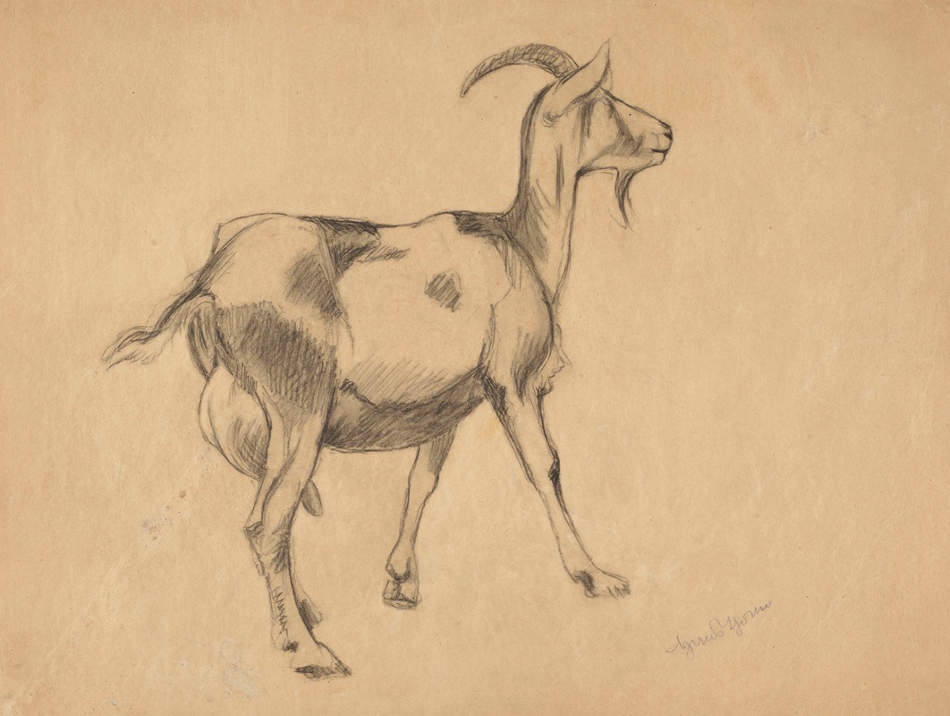 Goat by Ханс Тома, 1897 — digital art print download