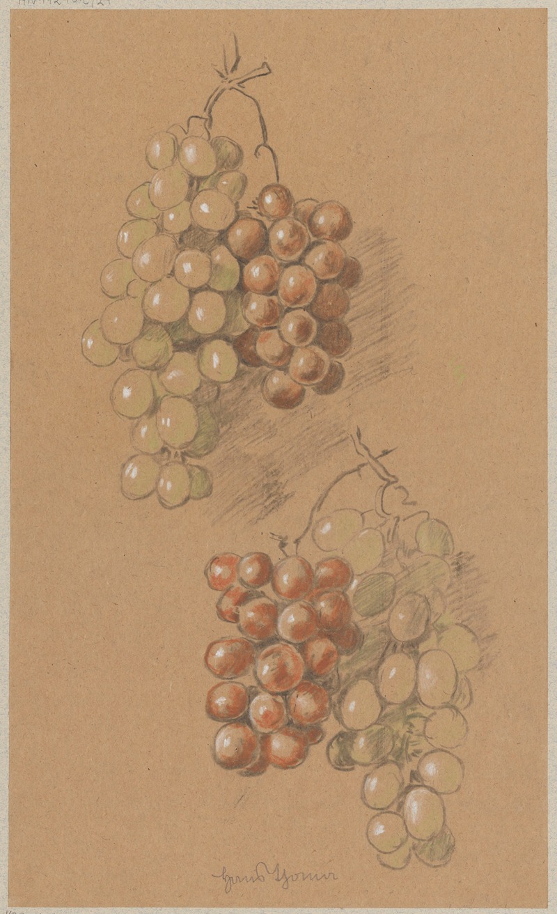 Grapes by Ханс Тома, 1890 — digital art print download