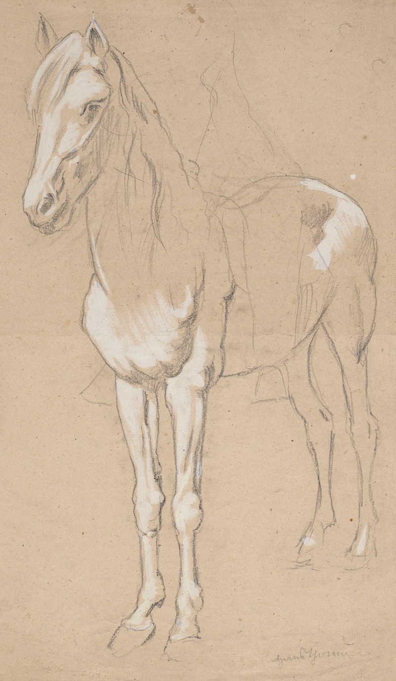 Horse by Ханс Тома, 1909 - 1924 — digital art print download