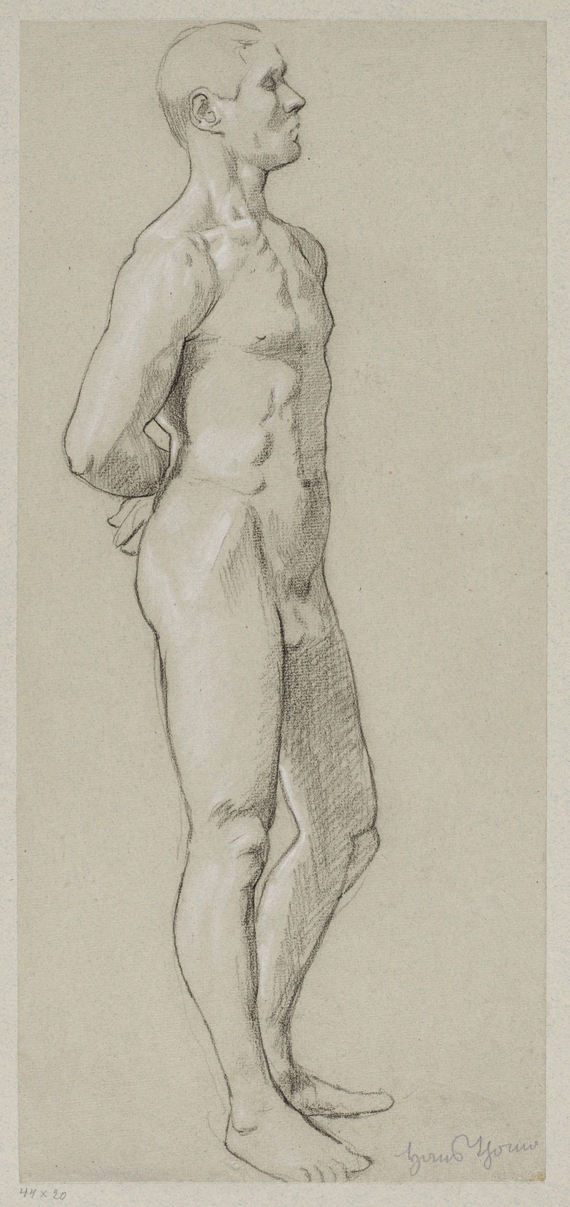 Male nude by Ханс Тома, 1880 - 1900 — digital art print download