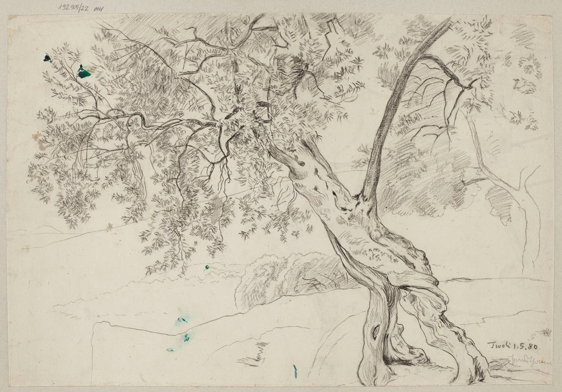 Olive Trees in Tivoli by Ханс Тома, 1880 — digital art print download