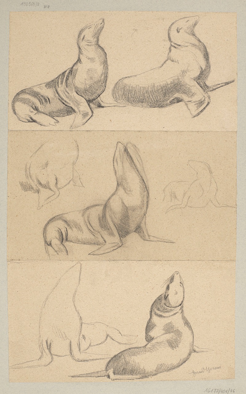 Seven Studies of Seals by Ханс Тома, 1884 — digital art print download