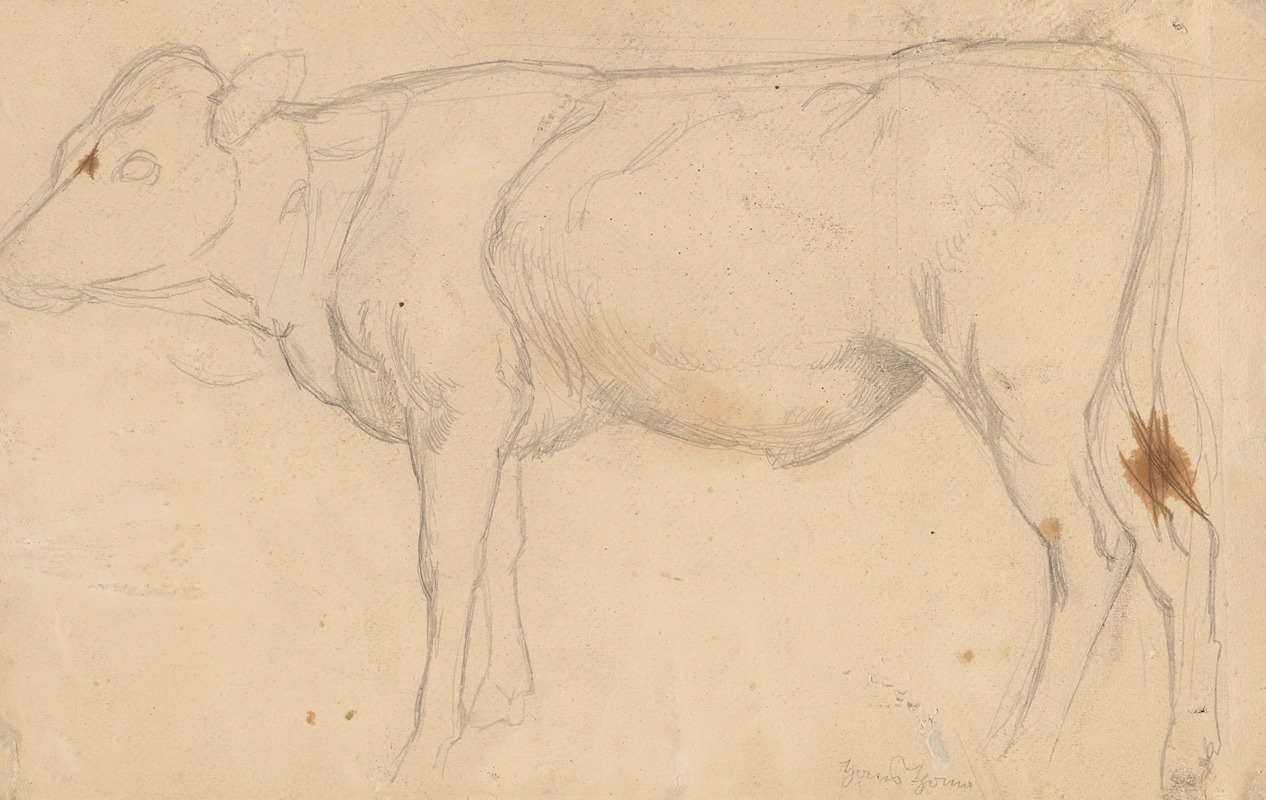 Standing Bull by Ханс Тома, 1860 - 1924 — digital art print download